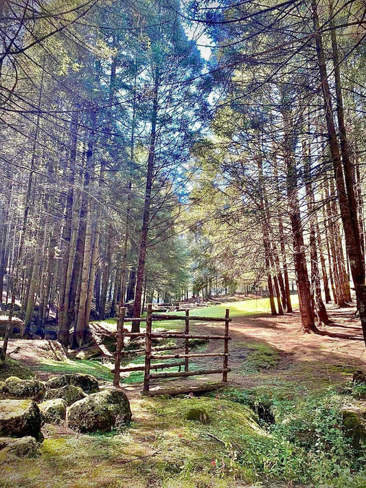 Salomon Trail Camp México 2026