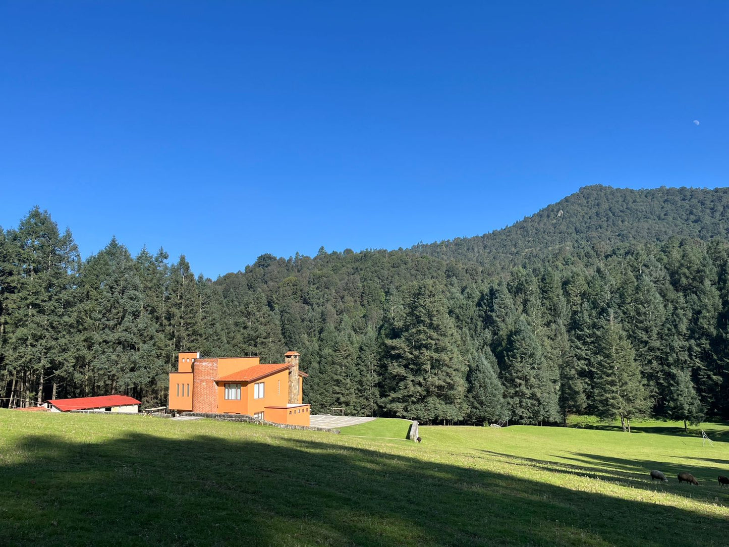 Salomon Trail Camp México 2026