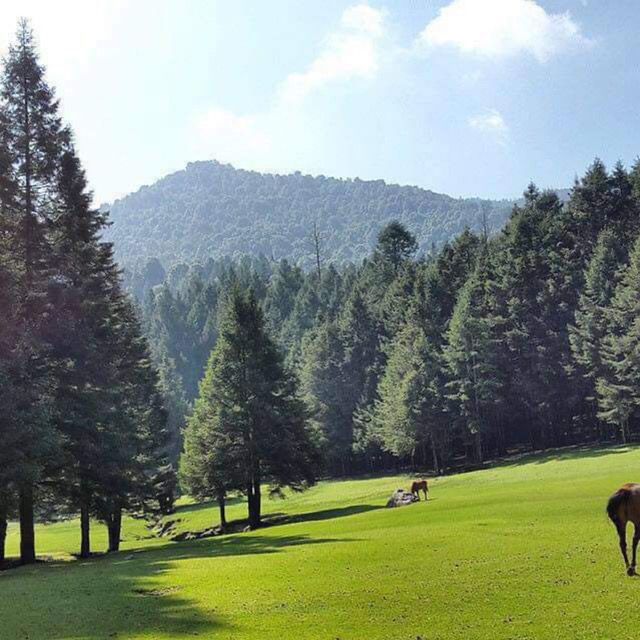 Salomon Trail Camp México 2026